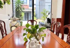 BÁN NHÀ 4 TẦNG ĐẦY ĐỦ NỘI THẤT- CÓ THANG MÁY-GẦN QL1A- VÕ THỊ LIỄU- KDC ĐIỀN PHÁT- 56M² -HẺM 6M... Bán nhà mặt phố tại An Phú Đông, Hồ Chí Minh 07