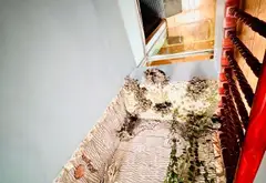 Nhà phố sang trọng tại KĐT Văn Phú với vị trí đắc địa và tiện nghi hoàn hảo 90m2... Bán nhà mặt phố tại Kiến Hưng, Hà Nội 11