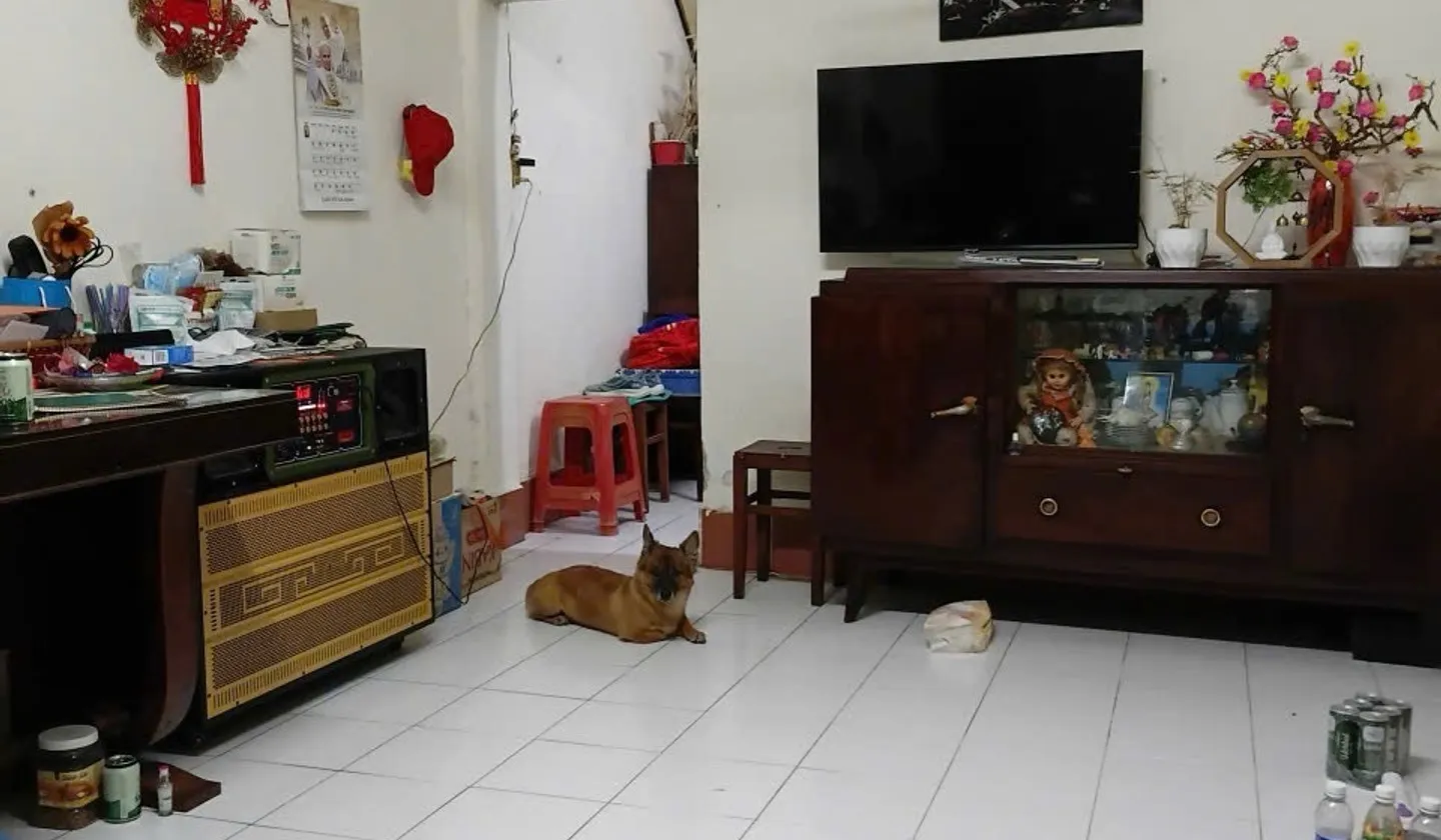BÁN NHÀ LÊ QUANG ĐỊNH, BÌNH THẠNH – 53m² – HẺM Ô TÔ – 8.x TỶ TL... Bán nhà riêng tại Bình Thạnh, Hồ Chí Minh 01