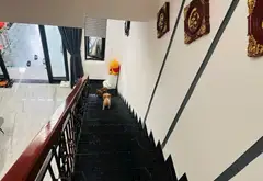🏡 BÁN NHÀ 3 TẦNG CHƠN TÂM – GẦN BIỂN 500M – SÁT MEGA! 🔥
📐 Diện tích: 80m² – ngang 5m vuông vức... Bán nhà mặt phố tại Hòa Khánh, Đà Nẵng 03