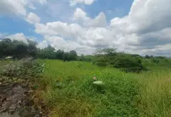 Kho bãi rộng lớn, vị trí đẹp giá hợp lý tại Đinh Đức Thiện... Bán kho, nhà xưởng tại Bình Chánh, Hồ Chí Minh 11