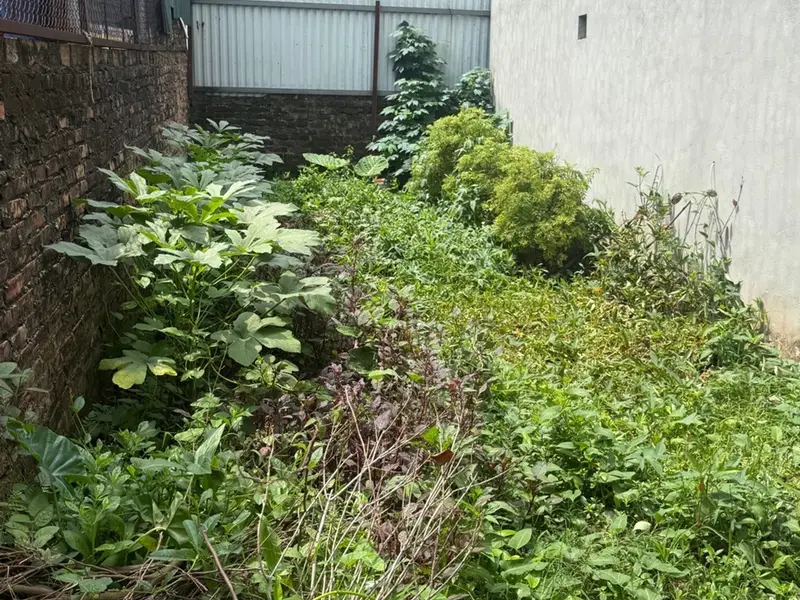 Đất trung tâm thanh trì 50m -mt 4 m
Vị trí đẹp, đường trước nhà thoáng rộng, cách đường ô tô 50m... Bán đất tại Nam Phù, Hà Nội 01