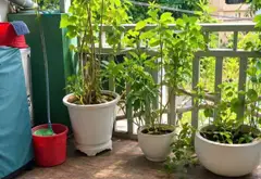 Bán nhà mặt phố tại phường Chánh Hưng, TP.HCM diện tích 58.8m2, mặt tiền 4.7m... Bán nhà mặt phố tại Chánh Hưng, Hồ Chí Minh 06