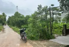 Cơ Hội Vàng Sở Hữu Lô Đất Phân Lô Đẹp Tại Thôn Vàng, Xuân Lai... Bán đất tại Gia Bình, Bắc Ninh 06
