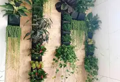 Biệt thự liền kề sang trọng tại khu đô thị Vinhomes Imperia, Hải Phòng... Bán biệt thự, liền kề tại Hồng Bàng, Hải Phòng 06