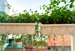 Bán nhà 4 tầng diện tích 28m2 tại khu vực Duy Tân, Phú Nhuận... Bán nhà riêng tại Cầu Kiệu, Hồ Chí Minh 17