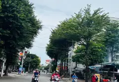 🔥 BÁN CĂN HỘ CHUNG CƯ DA SÀ – AN LẠC, BÌNH TÂN 🔥... Bán căn hộ chung cư tại An Lạc, Hồ Chí Minh 09