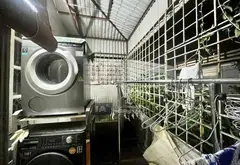 Bán nhà riêng 3 tầng diện tích 48m² tại trung tâm quận, giá phù hợp... Bán nhà riêng tại Vĩnh Tuy, Hà Nội 08