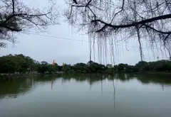NHỈNH 3 TỶ - 56m2 ĐẤT CỔ LOA, NGÕ NÔNG, Ô TÔ ĐỖ CỬA... Bán đất tại Đông Anh, Hà Nội 05