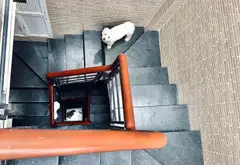 Nhà 4 tầng nở hậu - tiện nghi xịn tại Tân Hòa, HCM... Bán nhà riêng tại Tân Hòa, Hồ Chí Minh 07