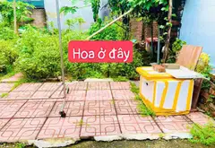 Đất Vàng Sóc Sơn - Đầu Tư Sinh Lời Siêu Hấp Dẫn!... Bán đất tại Nội Bài, Hà Nội 04