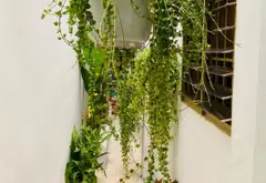 Nhà đẹp hiện đại tại Hòa Hưng giá hợp lý... Bán nhà riêng tại Hòa Hưng, Hồ Chí Minh 12