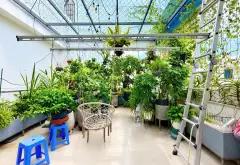 🏡 ( QUẬN 7 ) NHÀ 3 TẦNG – HUỲNH TẤN PHÁT, PHÚ THUẬN

👉 GIÁ CHỈ 8,8 TỶ... Bán nhà riêng tại Phú Thuận, Hồ Chí Minh 06