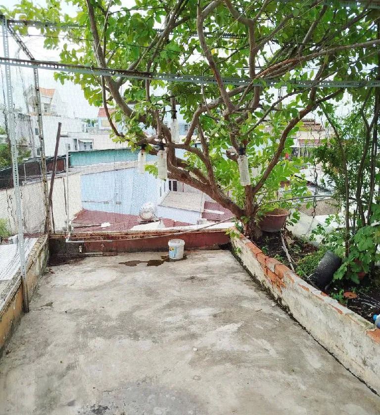 Nhà mặt phố Tân Bình, giá tốt, sinh lời ngay... Bán nhà mặt phố tại Bảy Hiền, Hồ Chí Minh 01