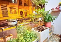 Mặt phố Tân Bình 2 tầng, kinh doanh đỉnh, cho thuê thu nhập cao... Bán nhà mặt phố tại Tân Hòa, Hồ Chí Minh 07