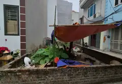 Bán đất xã Nam Phù, Hà Nội, mặt tiền rộng 4.5m, diện tích 71m²... Bán đất tại Nam Phù, Hà Nội 01