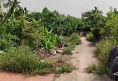 Cơ hội hiếm có sở hữu lô đất thổ cư đẹp tại thôn Đan Kim, Văn Giang... Bán đất tại Văn Giang, Hưng Yên 04