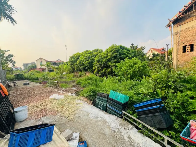 Đất đẹp tại thôn CD Quán Trạch Văn Giang, Hưng Yên,ô tô vào tận nhà... Bán đất tại Văn Giang, Hưng Yên 01