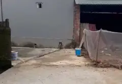 Bán Đất 84m² Tại Khu Vực Gần Giao Thông Thuận Tiện... Bán đất tại Sóc Sơn, Hà Nội 05