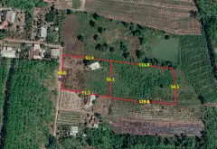 Cơ hội sở hữu đất biệt thự nhà vườn rộng 10.556m² tại Phú Giáo giá chỉ 25 tỷ... Bán đất tại Phú Giáo, Hồ Chí Minh 02