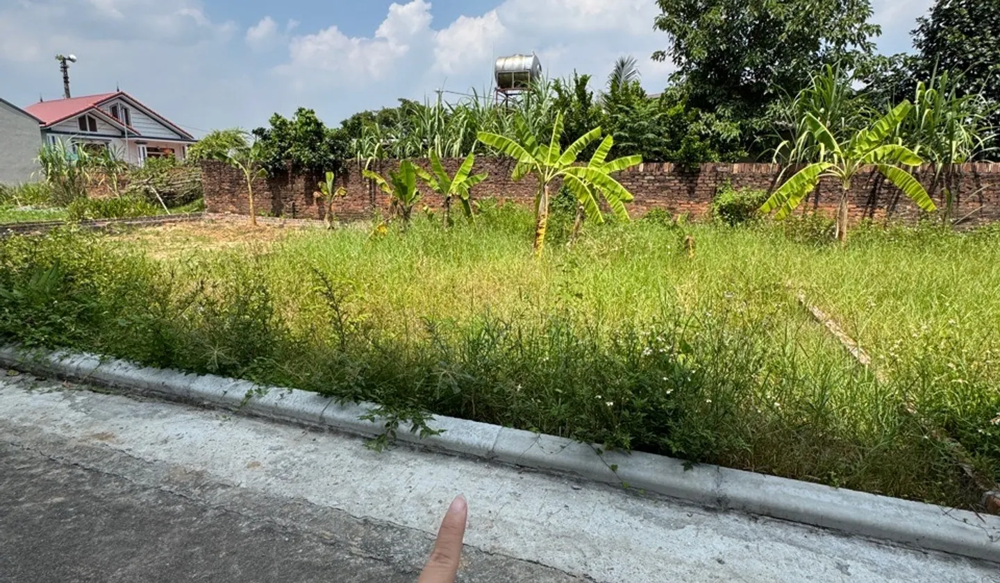 Đất đẹp mặt tiền rộng, ngõ ô tô chạy thoải mái tại Tân Minh Sóc Sơn - Giá chỉ Hơn 1 Tỷ... Bán đất tại Sóc Sơn, Hà Nội 01
