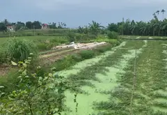 Lô đất 150m² hướng Đông Nam tại Kiều Thượng, An Dương với tiềm năng phát triển vượt trội... Bán đất tại An Dương, Hải Phòng 05