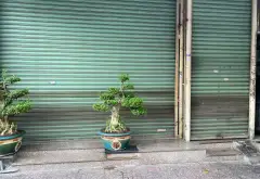 Bán nhà mặt phố 1 tầng, mặt tiền rộng tại Phường Tân Sơn Nhì... Bán nhà mặt phố tại Tân Sơn Nhì, Hồ Chí Minh 05