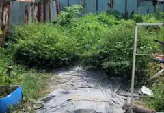 Đất mặt tiền Đông Thạnh, rộng 120m² giá ưu đãi... Bán đất tại Đông Thạnh, Hồ Chí Minh 01