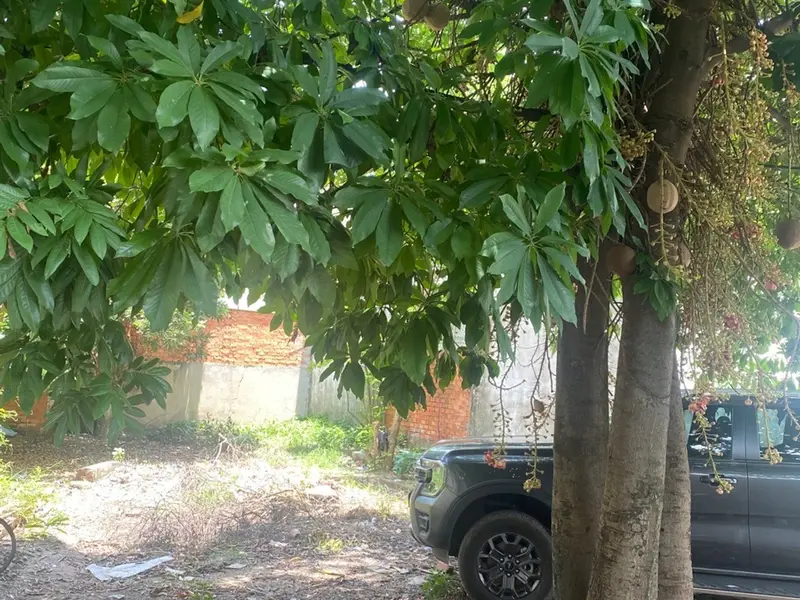 🔥 16 TỶ – QUỸ ĐẤT HƠN 1.000M² – SÁT DƯƠNG CÔNG KHI, HÓC MÔN 🔥... Bán đất tại Hóc Môn, Hồ Chí Minh 01