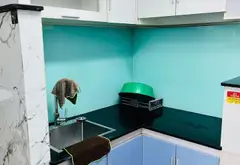 Nhà đẹp nở hậu Hoài Thanh, giá sốc mới nhất... Bán nhà riêng tại Bình Đông, Hồ Chí Minh 06