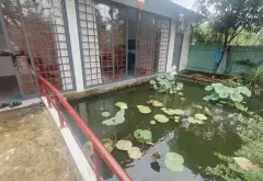 Nhà vườn siêu rộng tại Long Thới, Nhà Bè không gian yên tĩnh có sân vườn hồ cá coi... Bán nhà riêng tại Hiệp Phước, Hồ Chí Minh 18