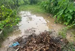 Đất phân lô ô tô đỗ ngay cửa khu vực đông dân cư sinh lời vượt trội... Bán đất tại Dương Kinh, Hải Phòng 08