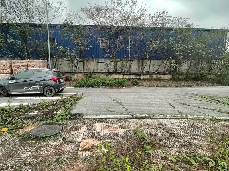 Bán lô đất KĐT Đại Thịnh , Thuận Thành 100m2... Bán đất tại Song Liễu, Bắc Ninh 01