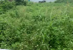 Đất nền thôn 5 Thủy Sơn hướng Đông Nam diện tích 60m² vị trí tiềm năng... Bán đất tại Thủy Nguyên, Hải Phòng 01