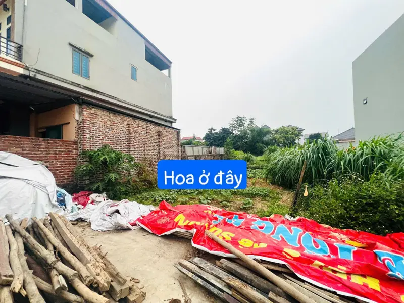 Bán đất thổ cư 99.2m2 tại xã Tiên Dược, Sóc Sơn, ô tô vào tận nơi... Bán đất tại Sóc Sơn, Hà Nội 01
