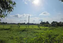 Đất mặt tiền đường 12m, sát chợ Vĩnh Lộc B, vuông vức, giá tốt... Bán đất tại Tân Vĩnh Lộc, Hồ Chí Minh 03
