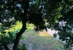 Cơ hội sở hữu nhà 2 tầng đẹp, hẻm xe hơi Nguyễn Thị Căn, giá chỉ 3.45 tỷ... Bán nhà riêng tại Tân Thới Hiệp, Hồ Chí Minh 07