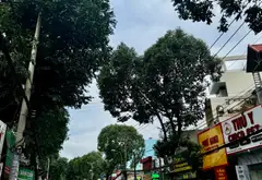 Nhà mặt phố kinh doanh đỉnh giữa lòng Gò Vấp... Bán nhà mặt phố tại An Hội Đông, Hồ Chí Minh 02
