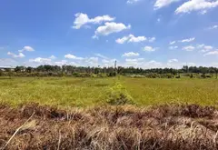 Bán đất Nguyễn Văn Bứa, trồng cây lâu năm 3089m2... Bán đất tại Hóc Môn, Hồ Chí Minh 04