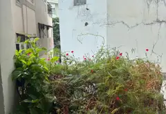 Nhà 3 tầng gần Văn Cao, 2 phòng ngủ, giá 4,7 tỷ... Bán nhà riêng tại Phú Thạnh, Hồ Chí Minh 07