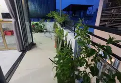 Nhà 3 tầng kiên cố tại phường An Khê, Đà Nẵng với thiết kế hiện đại, 3 phòng ngủ... Bán nhà riêng tại An Khê, Đà Nẵng 04