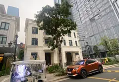Biệt thự song lập lô góc 5 tầng hướng Đông Nam tại quận 1... Bán biệt thự, liền kề tại Sài Gòn, Hồ Chí Minh 03