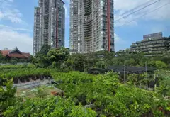 Bán đất lô góc 3 mặt thoáng tại Phụng Công Ecopark... Bán đất tại Phụng Công, Hưng Yên 02