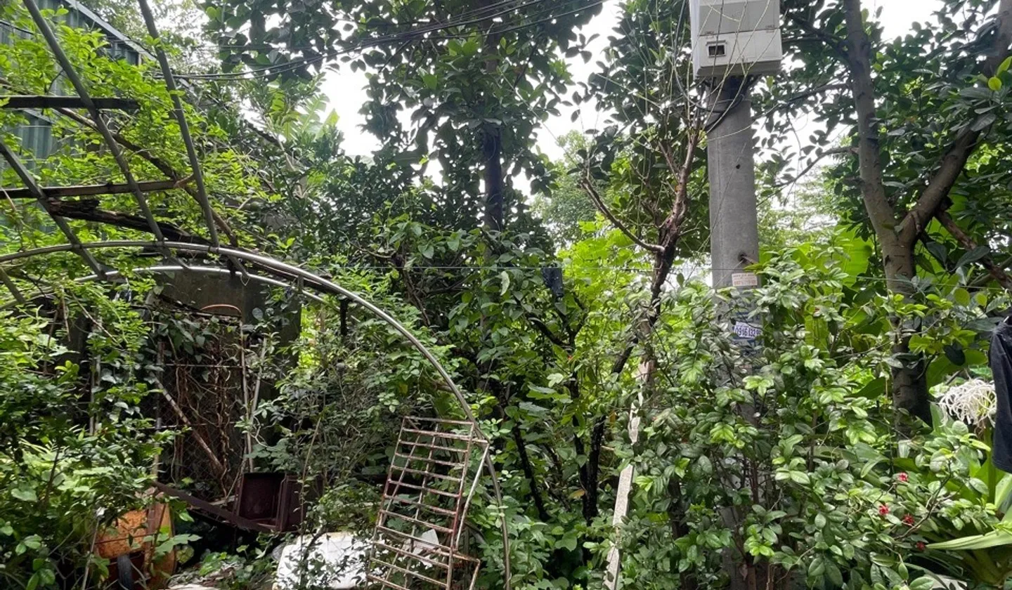 Ngọc Thụy Đất đẹp Ô tô vào chỉ 100Tr/m... Bán nhà riêng tại Bồ Đề, Hà Nội 01