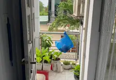 Nhà bán 2,1 tỷ-2 tâng-3PN-đường Lê văn Lương... Bán nhà riêng tại Hiệp Phước, Hồ Chí Minh 03