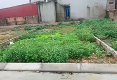 Đất đẹp Sóc Sơn, đường rộng oto vào tận nơi... Bán đất tại Sóc Sơn, Hà Nội 01