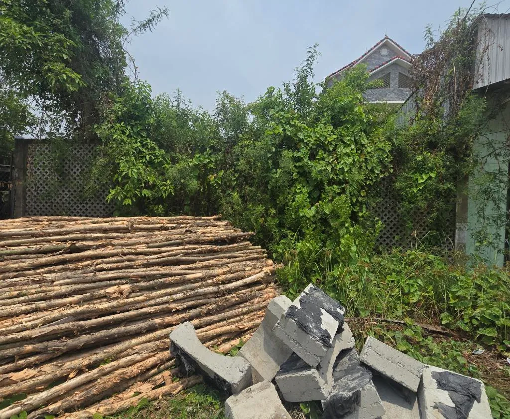 Bán đất xã Hiệp Phước, Nhà Bè, diện tích lớn, mặt tiền 10m, pháp lý rõ ràng... Bán nhà mặt phố tại Hiệp Phước, Hồ Chí Minh 01