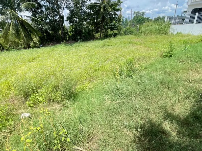 Đất Vàng Mặt Tiền Đường Lớn - Cơ Hội Đầu Tư Hiếm Có... Bán đất tại An Lạc, Hồ Chí Minh 01