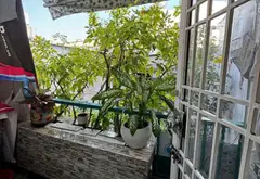 64m2, Bán nhà 1/ Nguyễn Kiệm, 3 Tầng, 4Pn, P3 Gò Vấp, 6 Tỷ chốt... Bán nhà riêng tại Hạnh Thông, Hồ Chí Minh 12