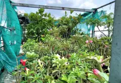 Bán nhà riêng 4 tầng mặt tiền 4m tại phường Bình Trị Đông, Hồ Chí Minh... Bán nhà riêng tại Bình Trị Đông, Hồ Chí Minh 18
